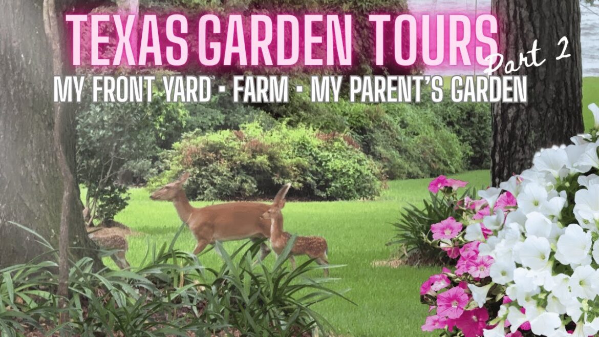 🪴Container Garden Tour + Front Garden Tour + Visiting my Parent’s East Texas Garden and Farm! 🪴Container Garden Tour + Front Garden Tour + Visiting my Parent's East Texas Garden and Farm!