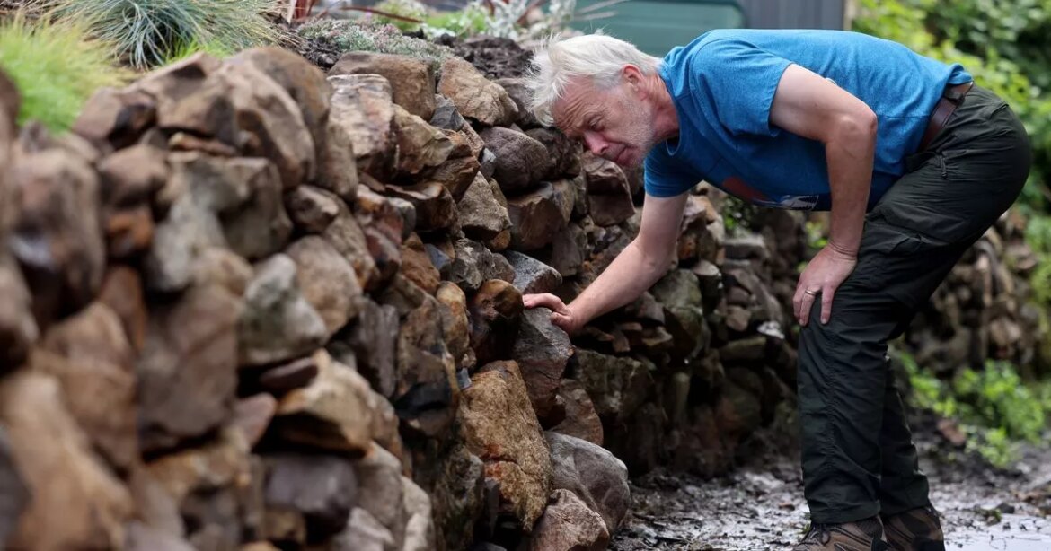 Huge storm brought down fence and uncovered forgotten feature in this garden Ipso logo