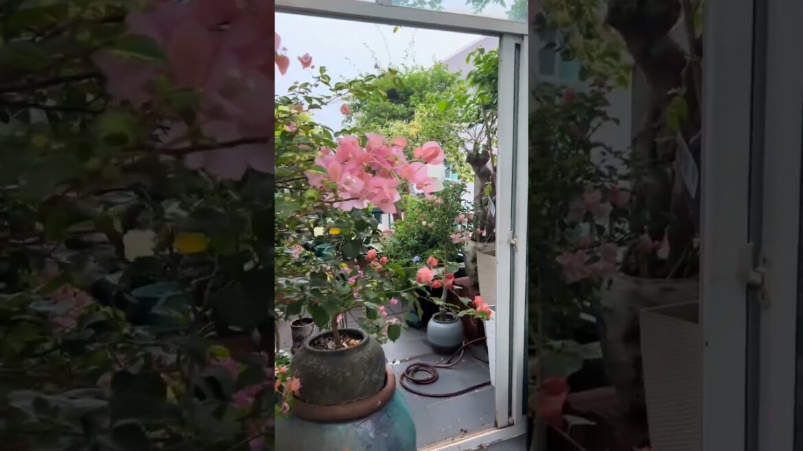 Garden Decor on a Budget 🌴🌸#garden #home #gardening #decor #oasis #youtubeshort #trend