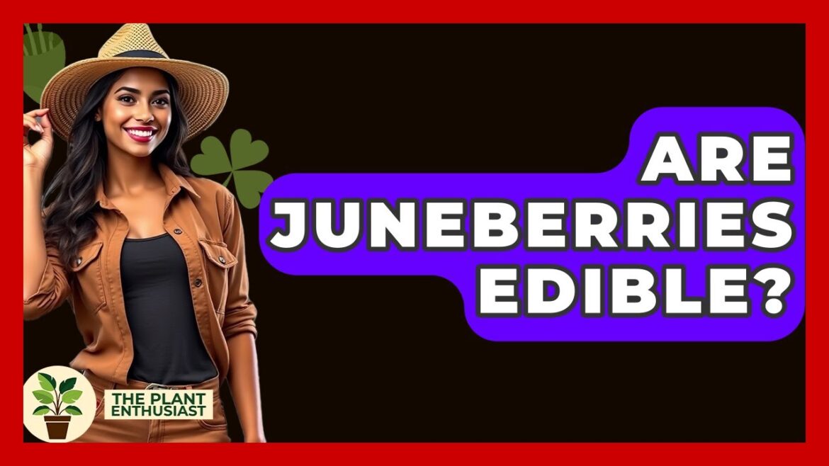 Are Juneberries Edible? - The Plant Enthusiast