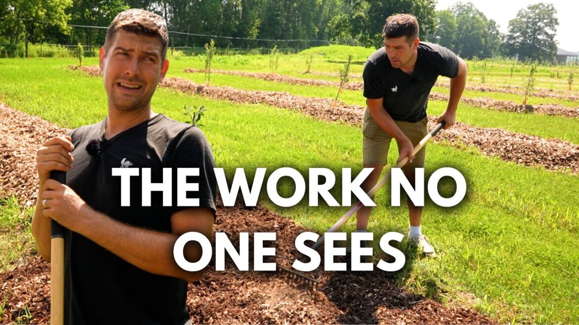 We Have Some BIG JOBS on The Farm!