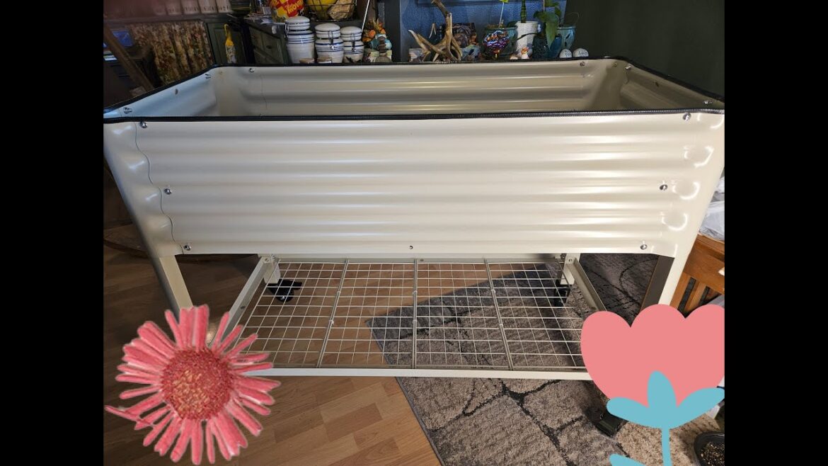 Watch Me Build the Coolest Raised Garden Bed Ever! @vego_garden Watch Me Build the Coolest Raised Garden Bed Ever! @vego_garden