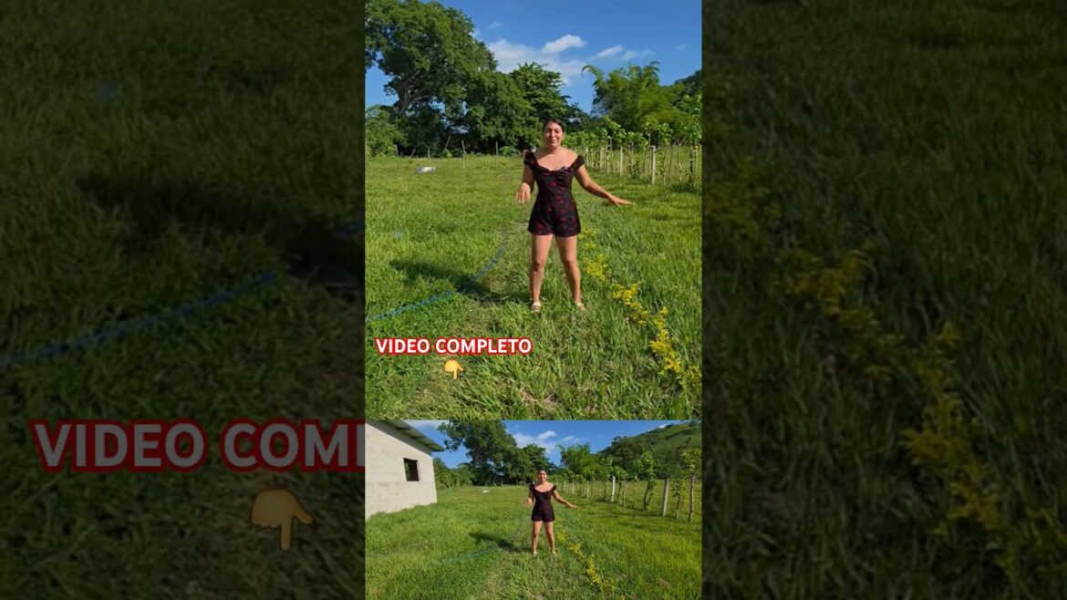 Así mis planes en mi jardín