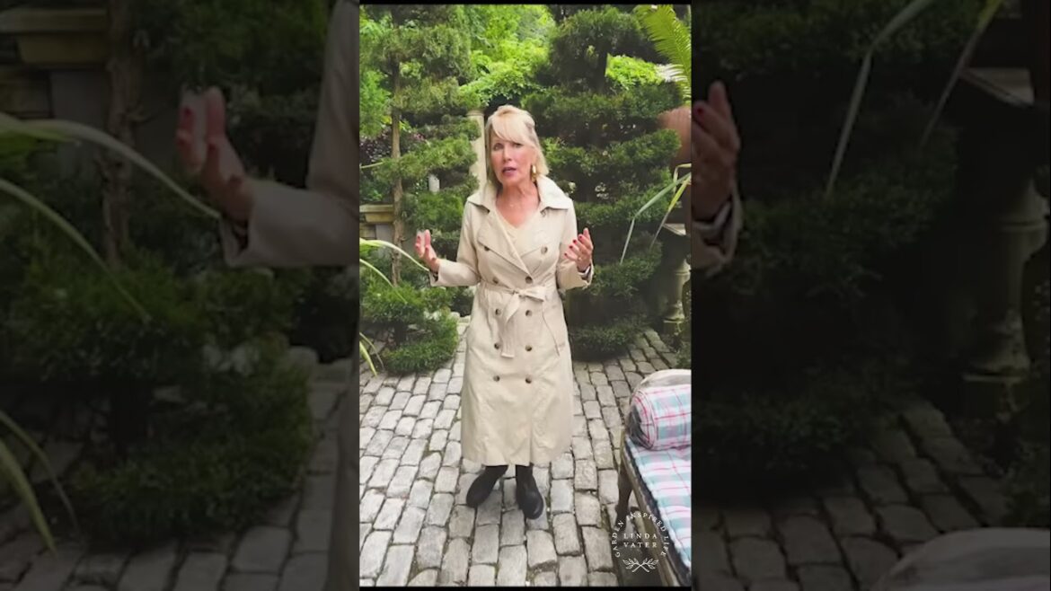 Mystical Garden  A Journey Through Tranquility & Beauty #gardening #gardendelight #gardeningjournal