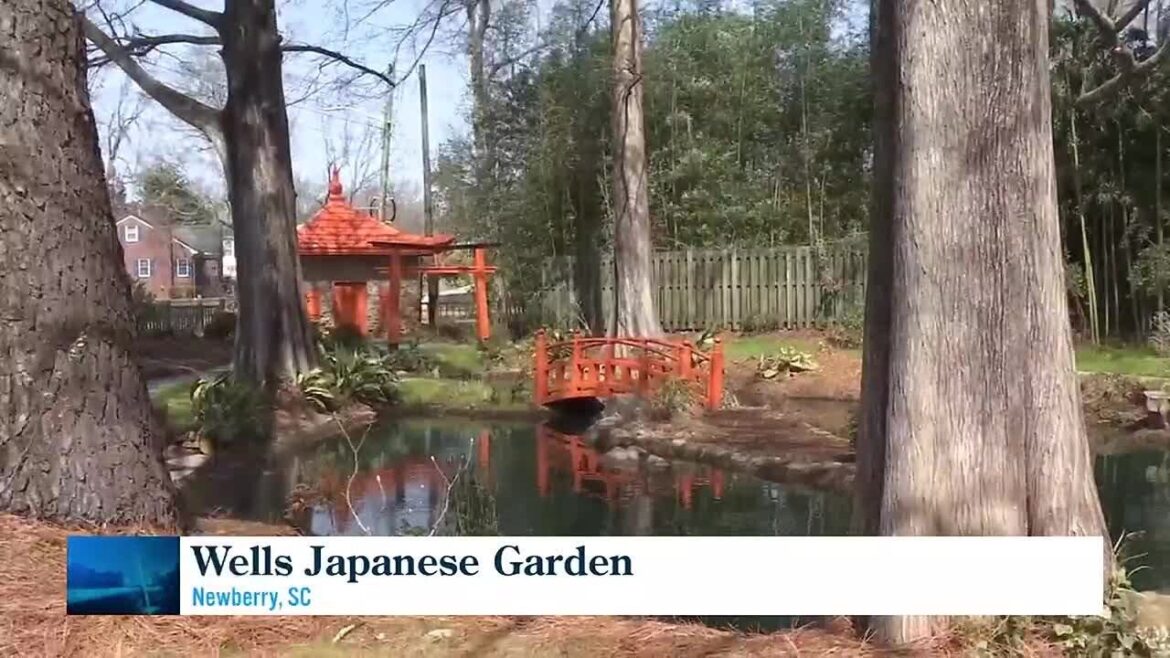 Hidden gem: Wells Japanese Garden in Newberry Hidden gem: Wells Japanese Garden in Newberry