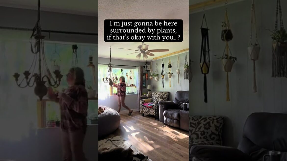 Plants! Everywhere! If that’s okay with you…? Have you tried this new asking for permission trend?