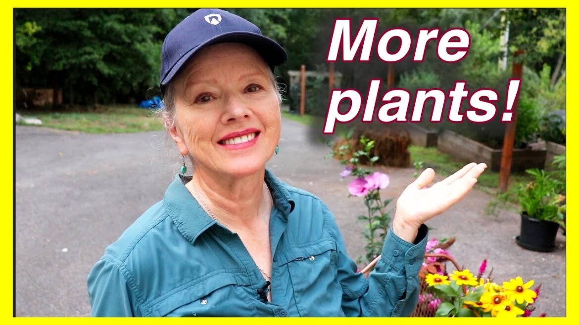 I returned from trip to THIS! With butterfly plants! - Part 1