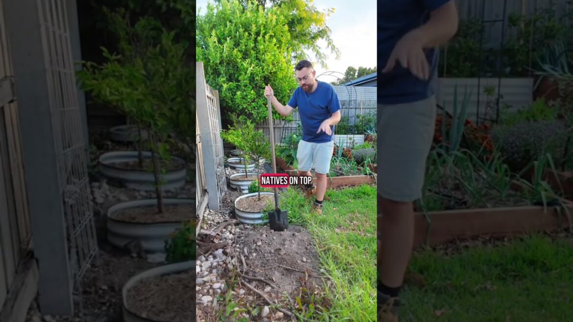 This Gardening Tip Could Save You From Jail #gardentips #beginnergardentips #aussiecomedy