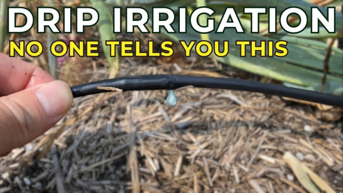 You'll Regret Installing Drip Irrigation Without Knowing This