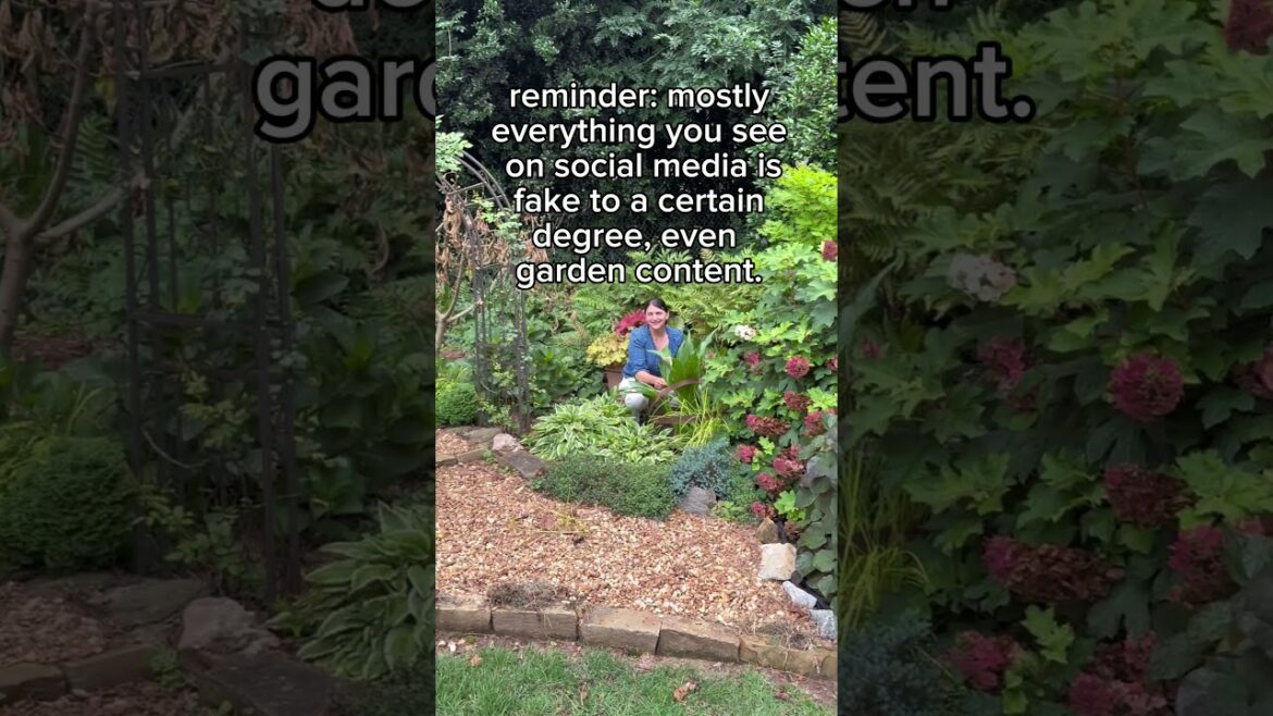 Your favorite garden content creators kill plants too #gardening #RIP #garden