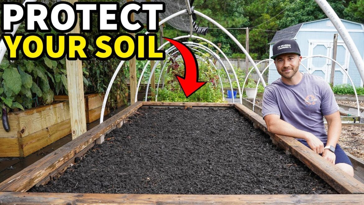 Protect Garden Soil And Keep It Healthy The EASY Way! Protect Garden Soil And Keep It Healthy The EASY Way!