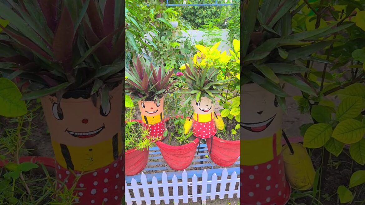 It's a rainy season, a colourful view🌱🪴🌧👩‍🌾#smallgarden#gardentour#gardendesign##orchid#geetvibes11