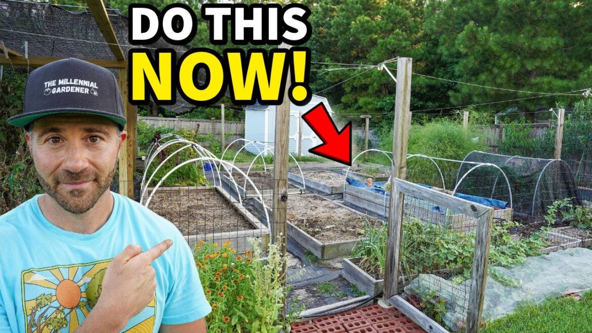 Do These 3 Things NOW To MEGA BOOST Your Garden! Do These 3 Things NOW To MEGA BOOST Your Garden!