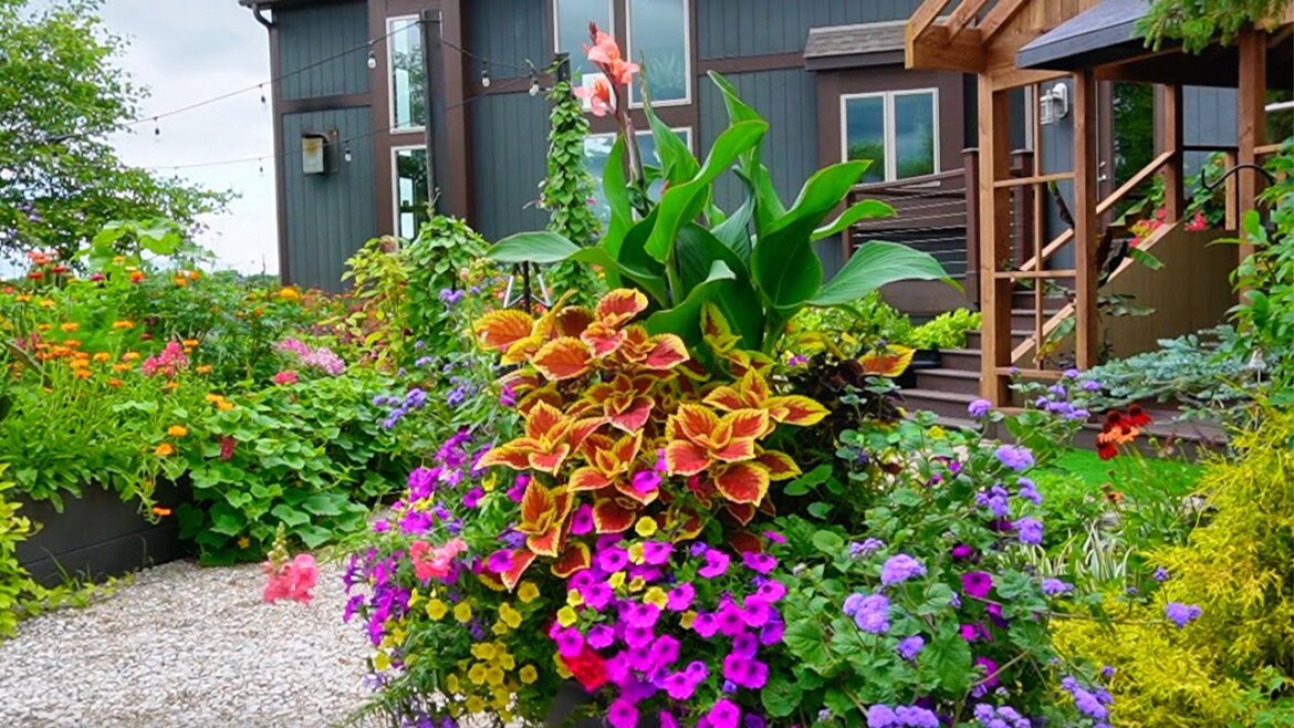Beautiful Container Gardening & Garden Spaces in July | Tour, Flowers & NEW Project! Beautiful Container Gardening & Garden Spaces in July | Tour, Flowers & NEW Project!