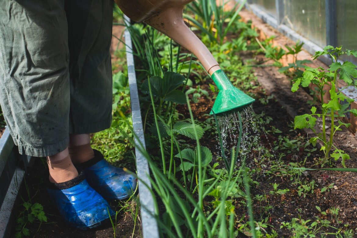 10 Of The Best Places To Buy Cheap Gardening Supplies 10 Of The Best Places To Buy Cheap Gardening Supplies