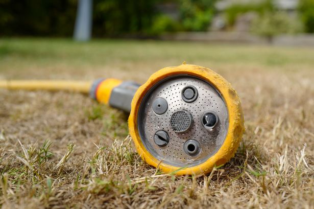Hosepipe on garden floor