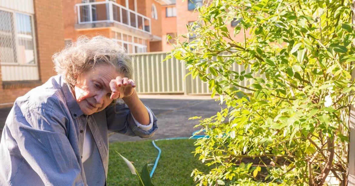 Silent garden danger is hospitalising thousands of Brits every summer Ipso logo