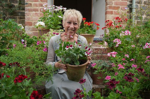 Carol Klein 