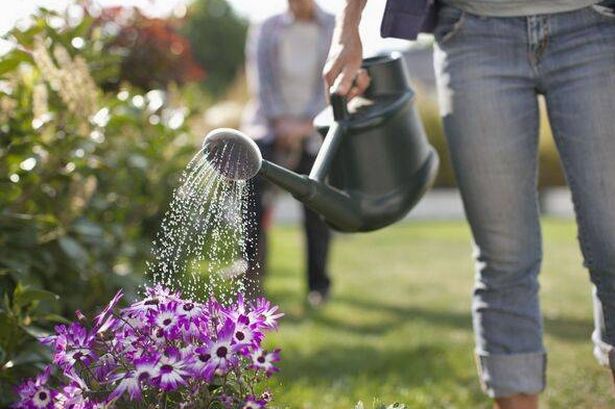 Woman watering flowers in garden with watering can