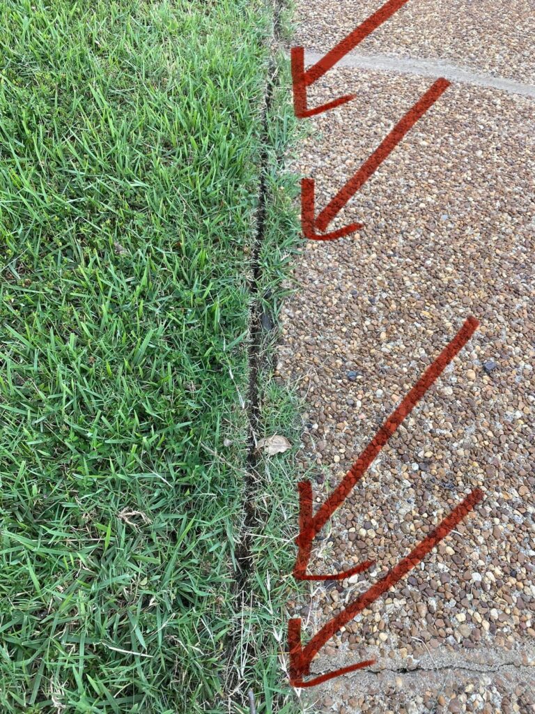 Beginner Edging Beginner Edging