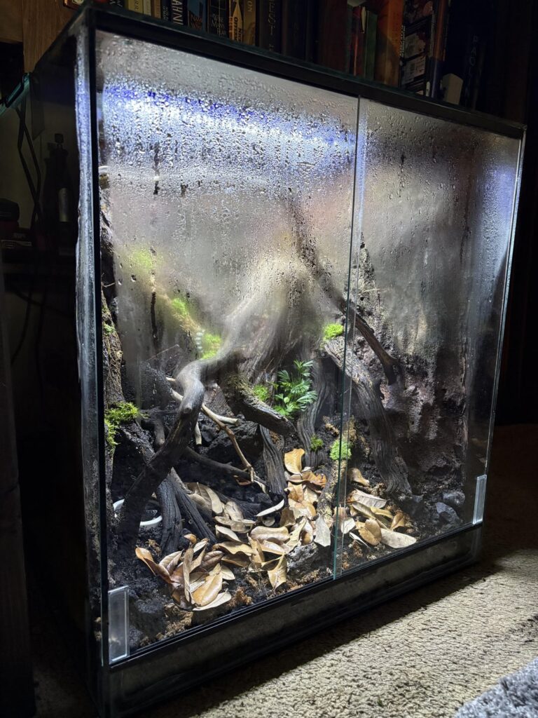 Just completed the enclosure I built for Malaysian Cat Geckos! Just completed the enclosure I built for Malaysian Cat Geckos!