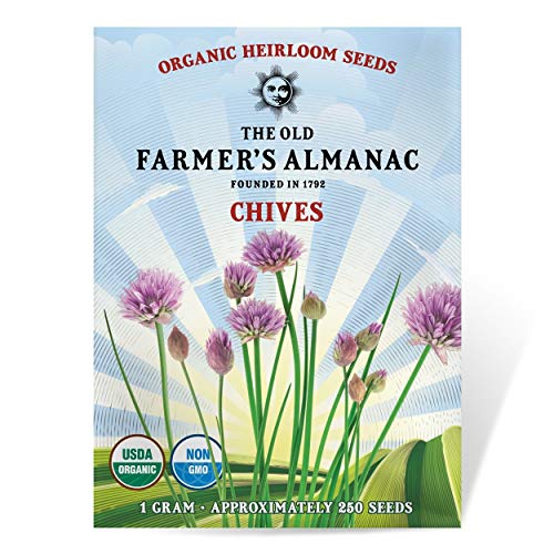 Heirloom Organic Chive Seeds