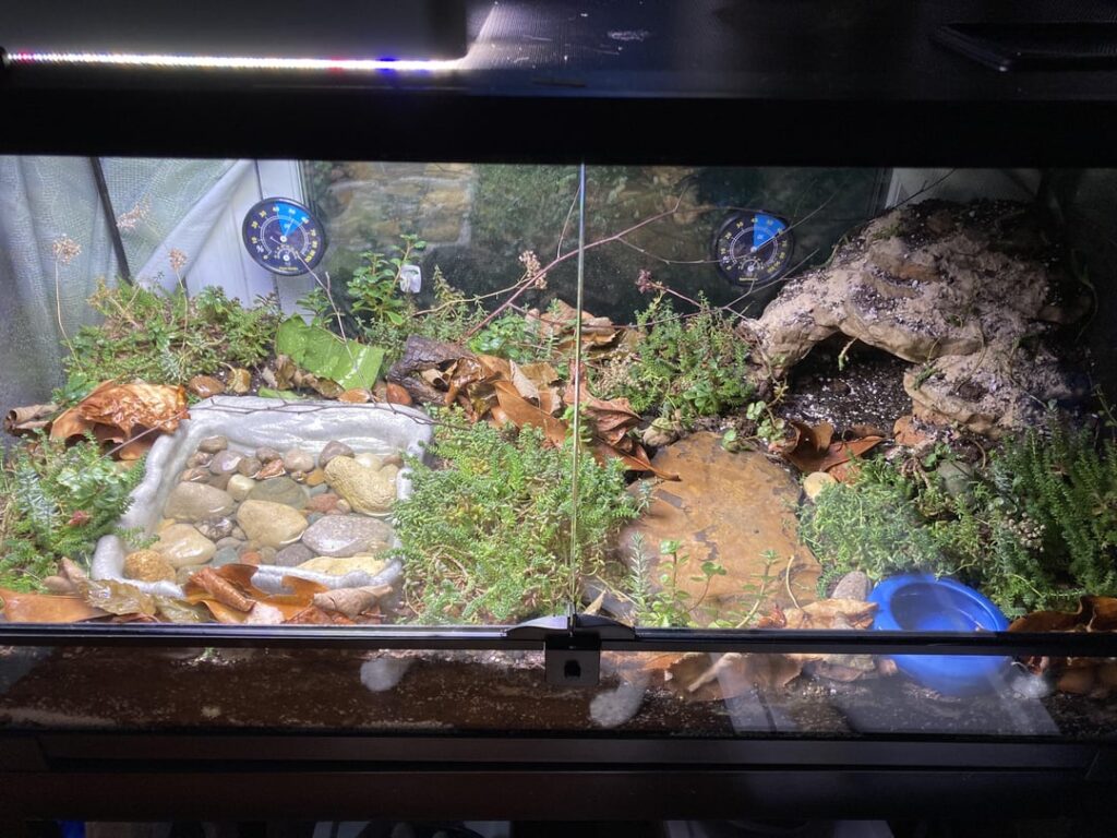 I’ve been improving upon this for a bit and want opinions.