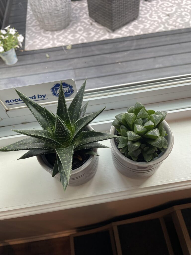 ID Help/Root bound ID Help/Root bound