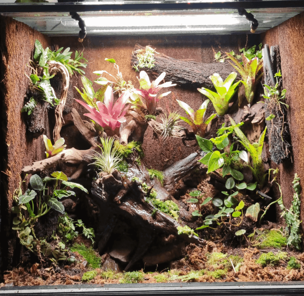New paludarium