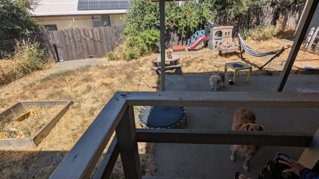 Ideas for my backyard?