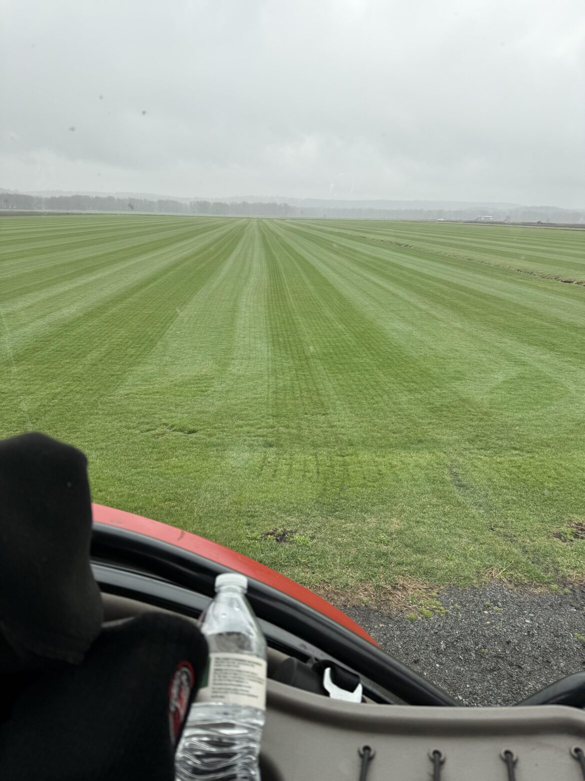 Nicest grass in the neighborhood