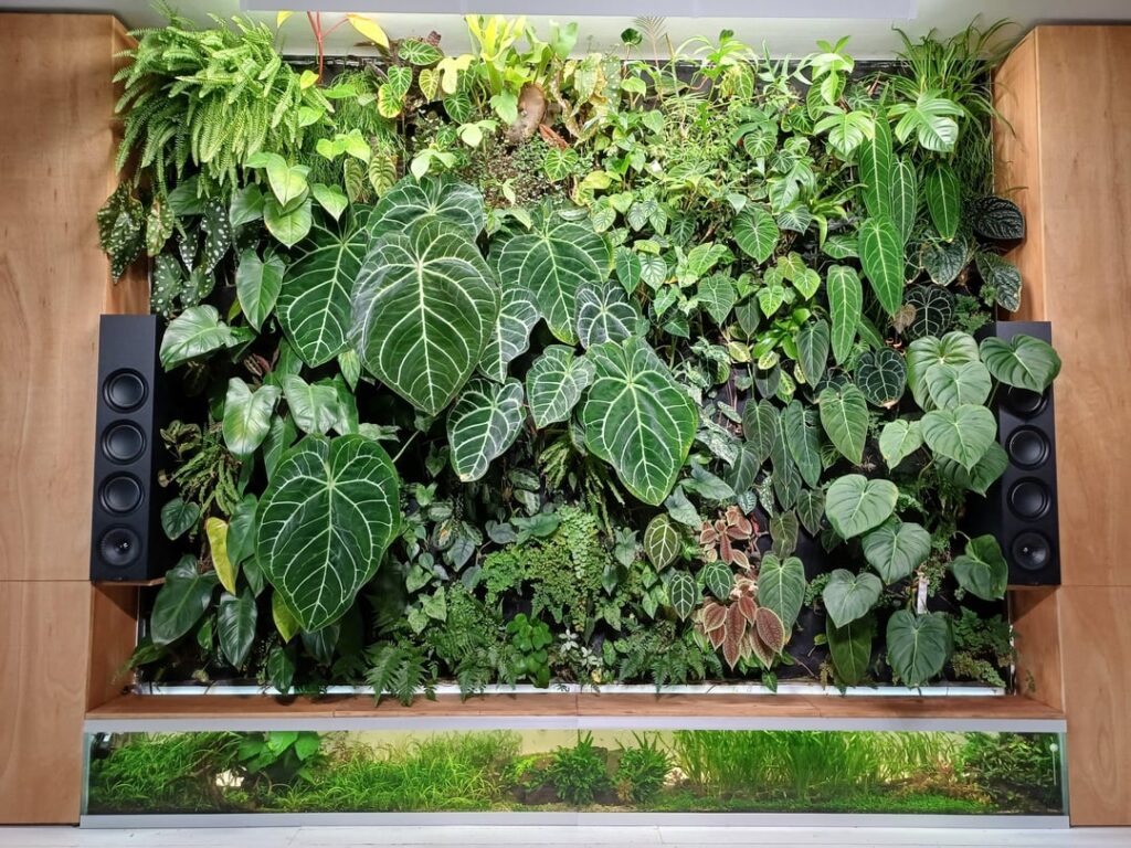 I thought it would be time to update y’all on how the plantwall is doing I thought it would be time to update y'all on how the plantwall is doing