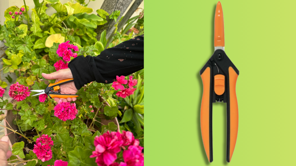 Let’s Have Fun In The Garden With FISKARS Let's Have Fun In The Garden With FISKARS