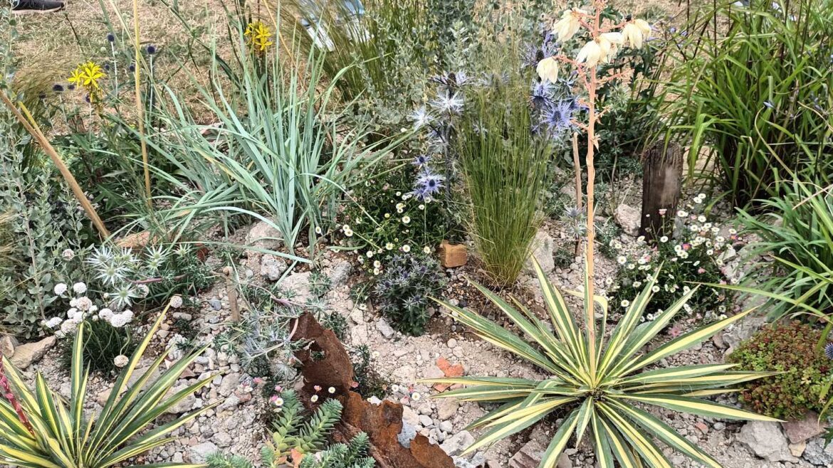 Landscape students win awards at RHS show | Architecture and Landscape Landscape students win awards at RHS show | Architecture and Landscape