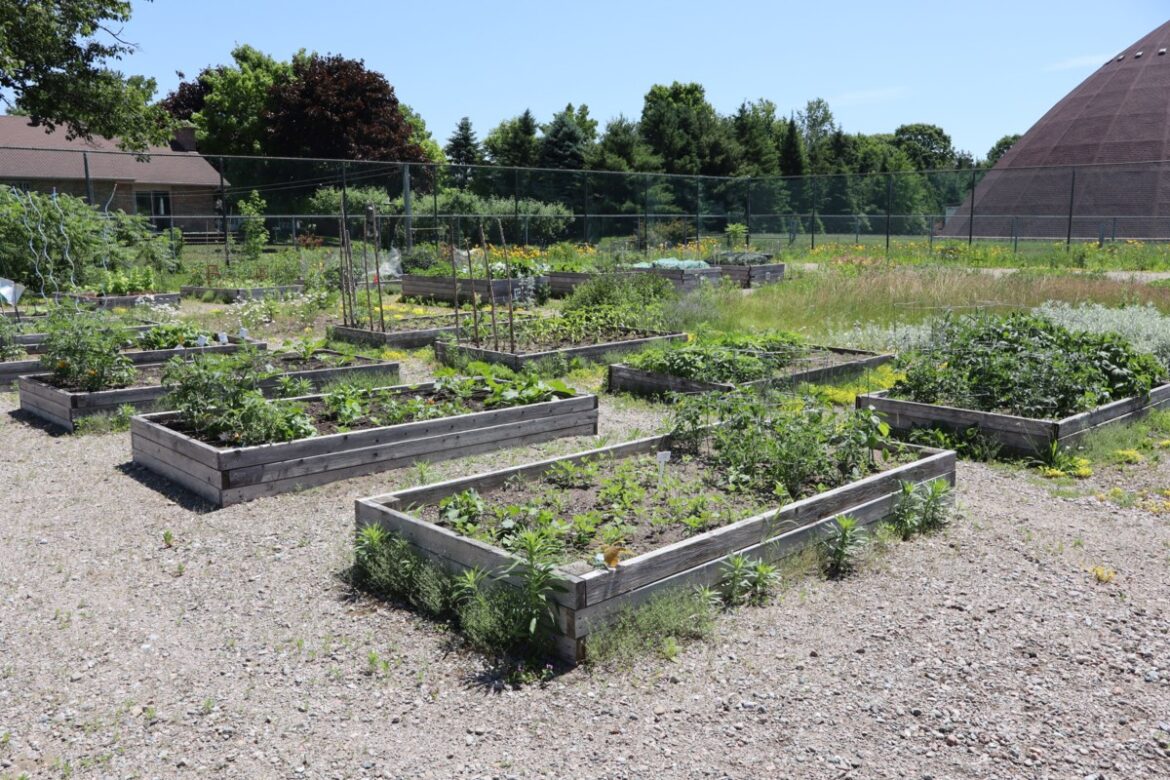 Green thumbs getting accessibility upgrades at Tiny community garden