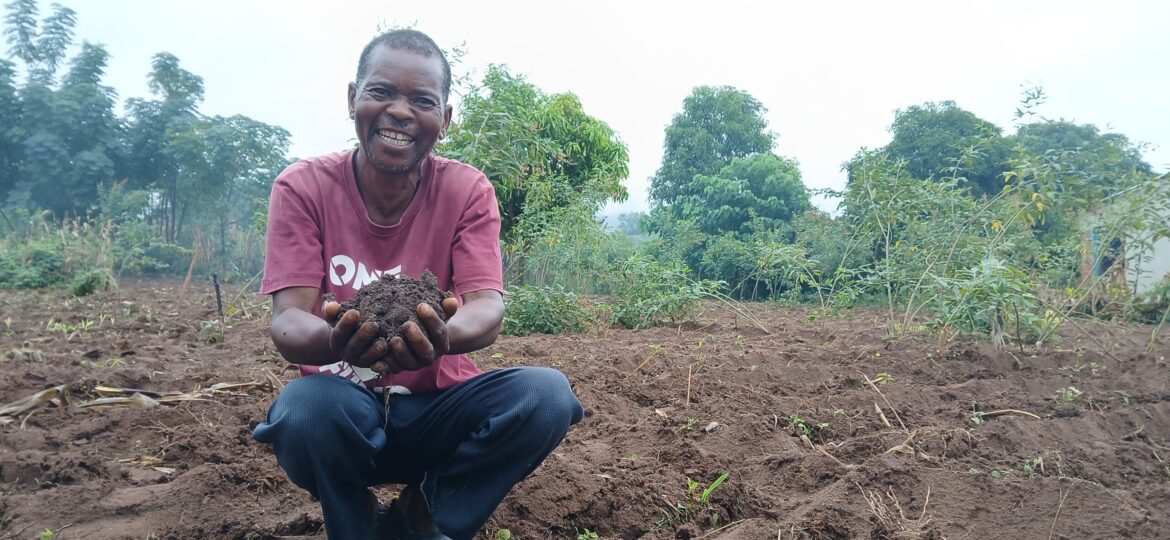 harnessing chicken waste to strengthen soil health for smallholder farmers – CIMMYT
