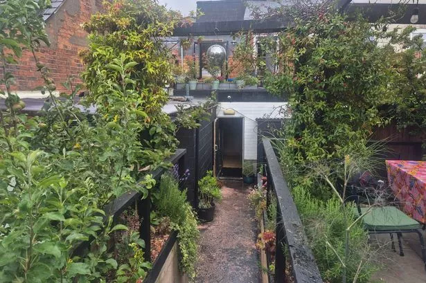 The 'secret garden' of Caneat in Stirchley