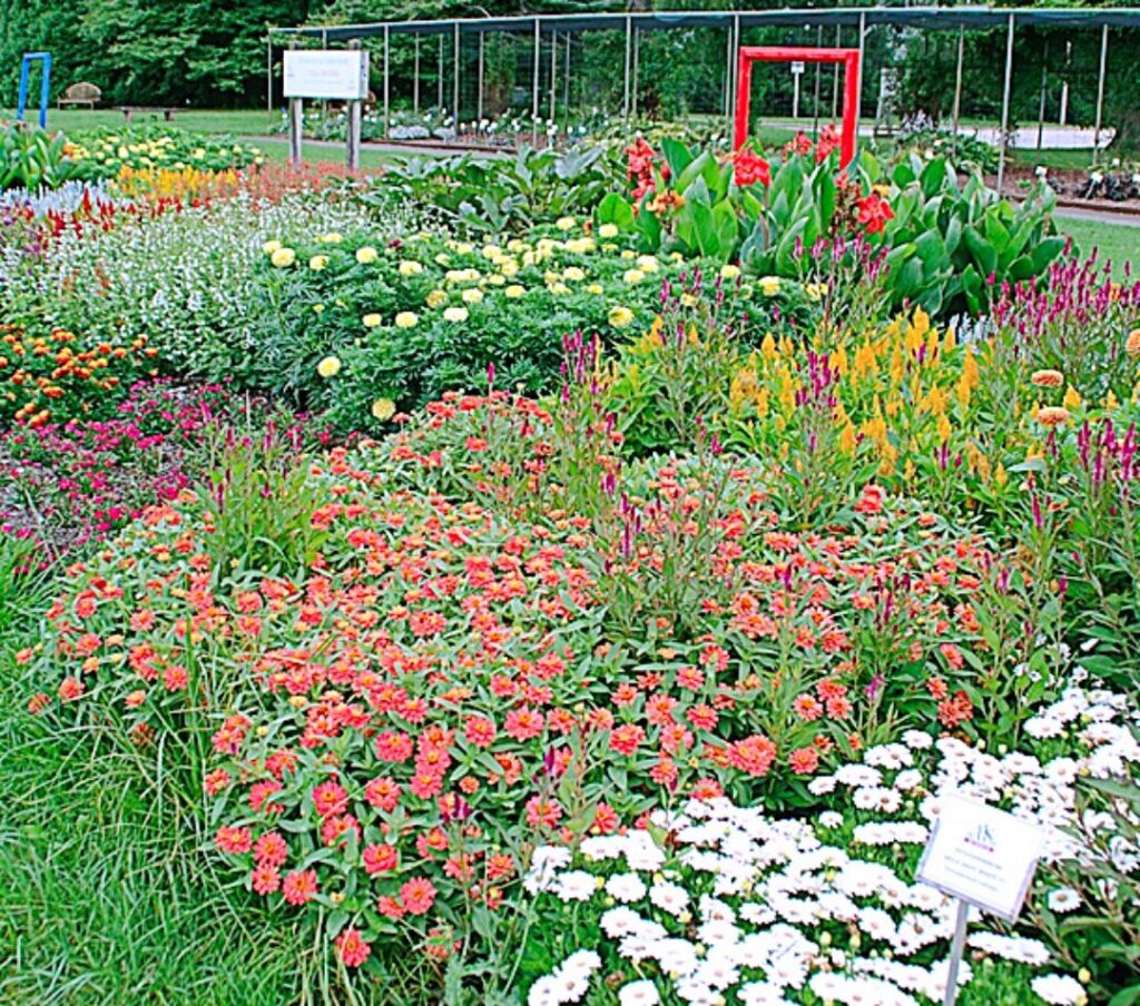 Gathering ideas for next year’s garden An AAS trial garden at Boerner Botanical Gardens.