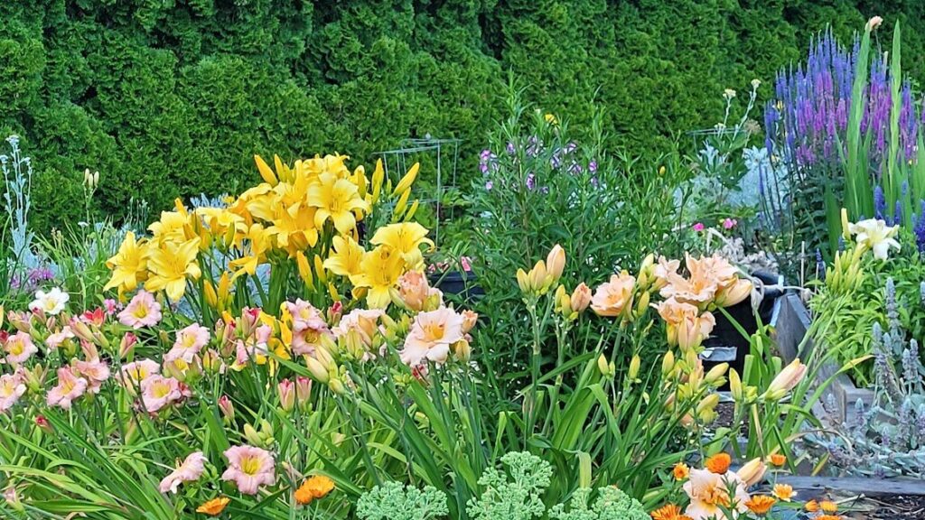 August, Victoria&rsquo;s favorite month of the year.