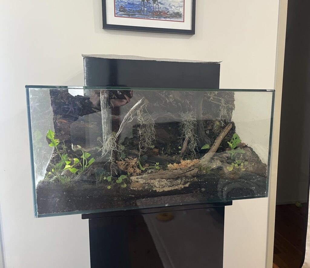 Question: Recommendations for best mister to buy for my Vivarium? Question: Recommendations for best mister to buy for my Vivarium?