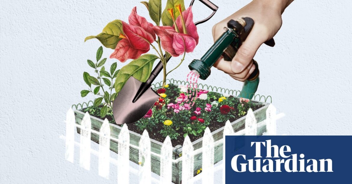‘The friendship of the good’: how a community garden gave me a sense of something bigger than myself | Gardens ‘The friendship of the good’: how a community garden gave me a sense of something bigger than myself | Gardens
