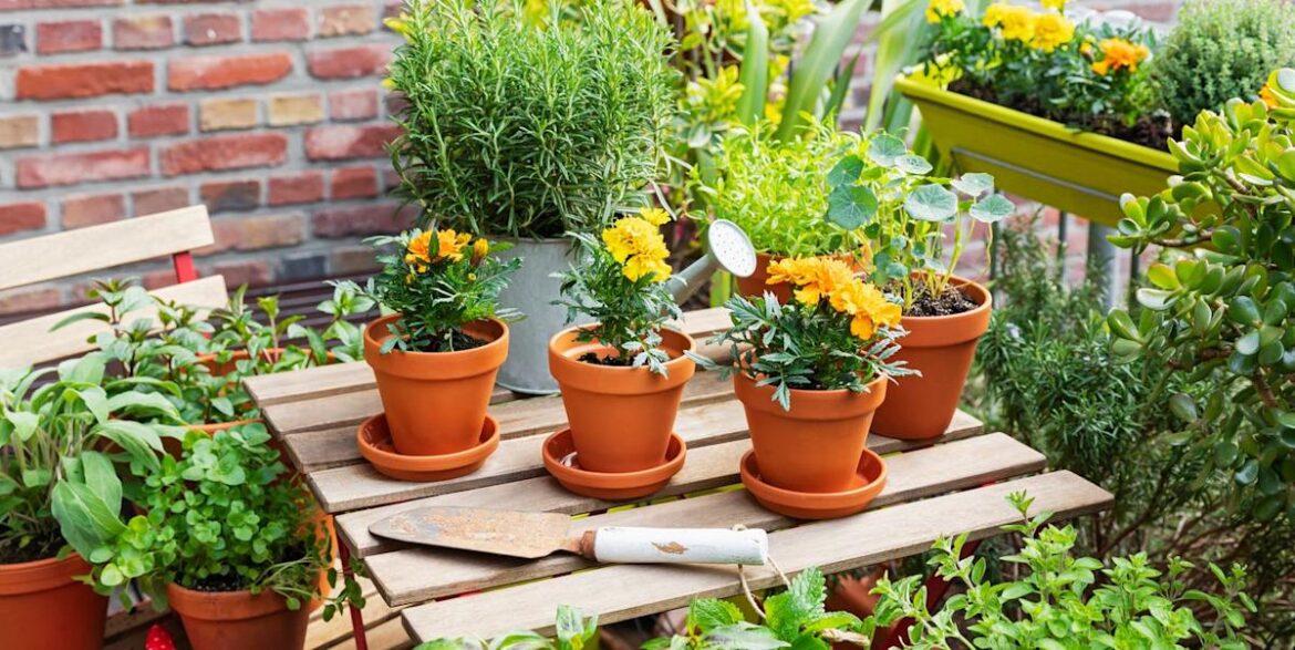 This gardening hack that repurposes wine corks is genius