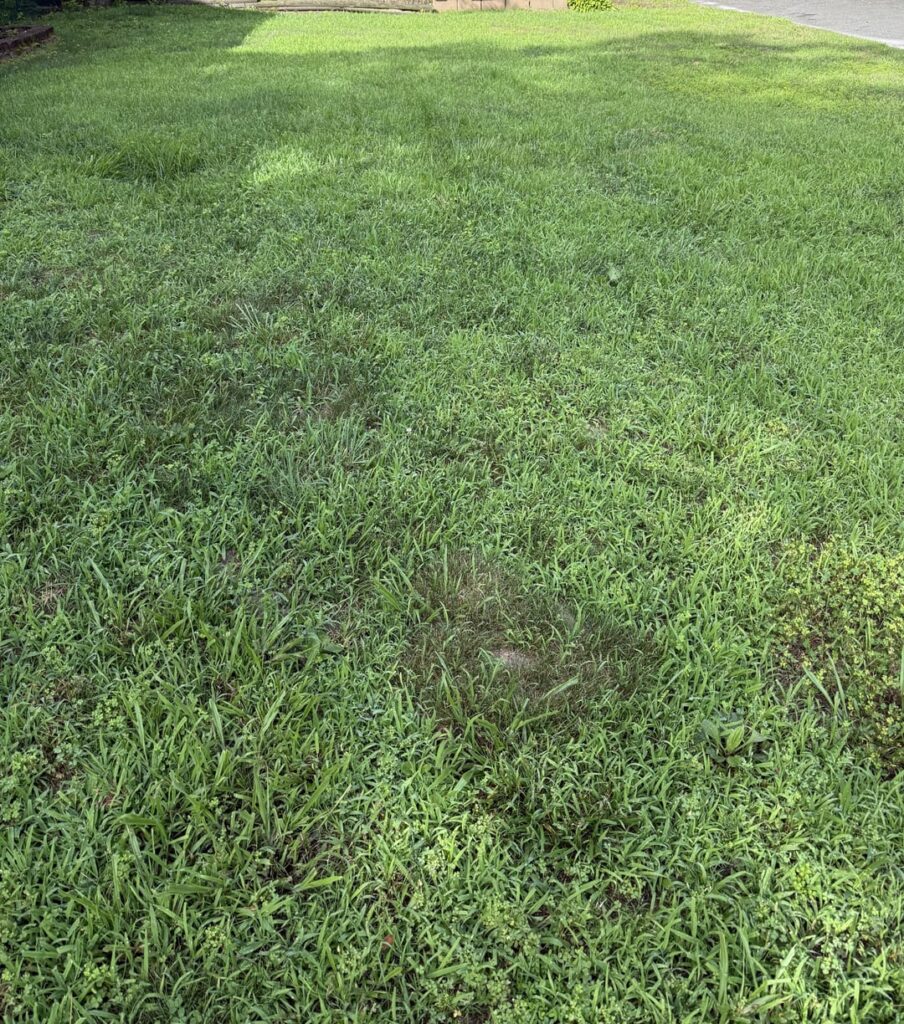 New house. Crab yard. Don’t think there’s any grass. Where do I begin with full blow up?