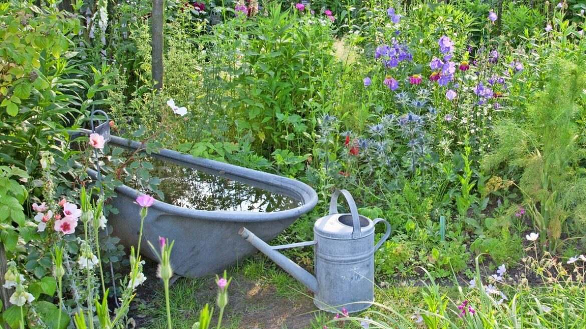 What I’ve learnt from open gardens: the best designs What I’ve learnt from open gardens: the best designs