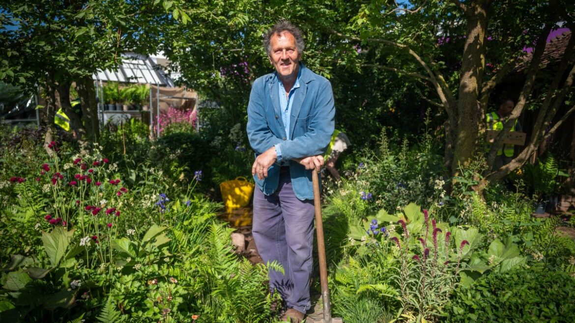 I love plants but they’re not essential for a garden