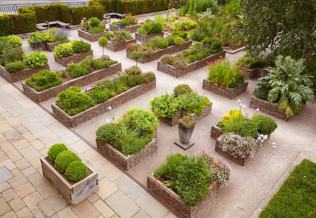 Edinburgh’s royal community garden celebrates five years and hundreds of educational visits