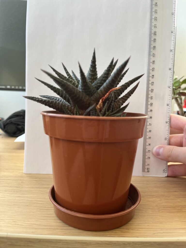 How deep should my next pot be?