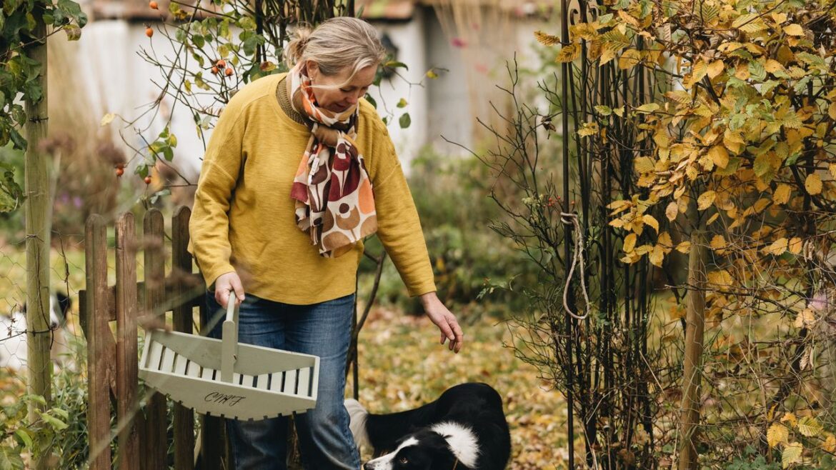 How to start a kitchen garden: what to do in October How to start a kitchen garden: what to do in October