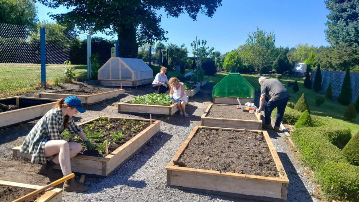 Local Notes: Volunteers at work in Charlestown Organic Community Garden. – Community Local Notes: Volunteers at work in Charlestown Organic Community Garden. - Community