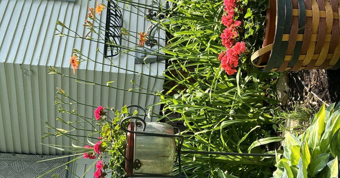 Grow gardening knowledge at home with Master Gardener online training options – Shaw Local